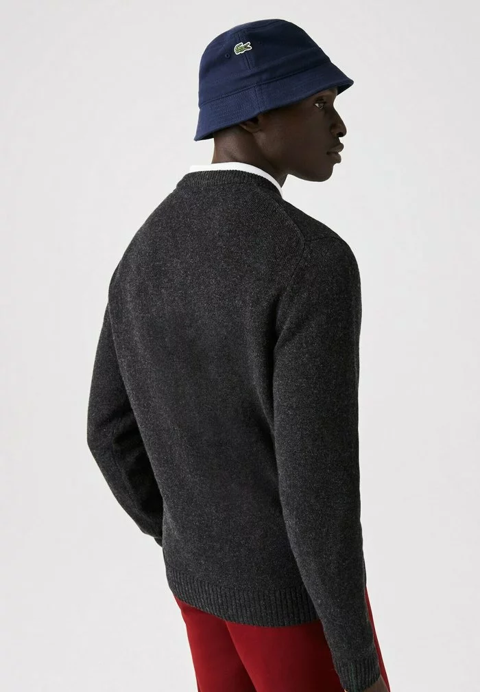 Lacoste Pullover - Gris 2 Lacoste Pullover - Gris – Image 2