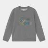 Lacoste UNISEX - Sweatshirt - Heather Wall/multi-coloured