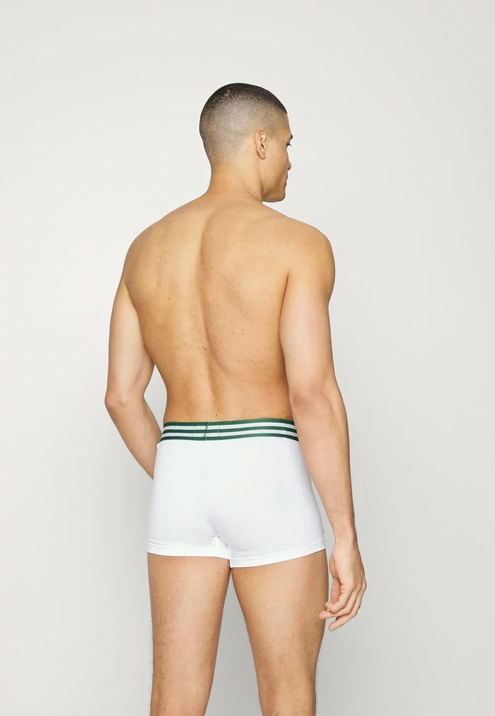 Lacoste 3 PACK - Shorty - Silver Chine/white/navy Blue 1 Lacoste 3 PACK - Shorty - Silver Chine/white/navy Blue