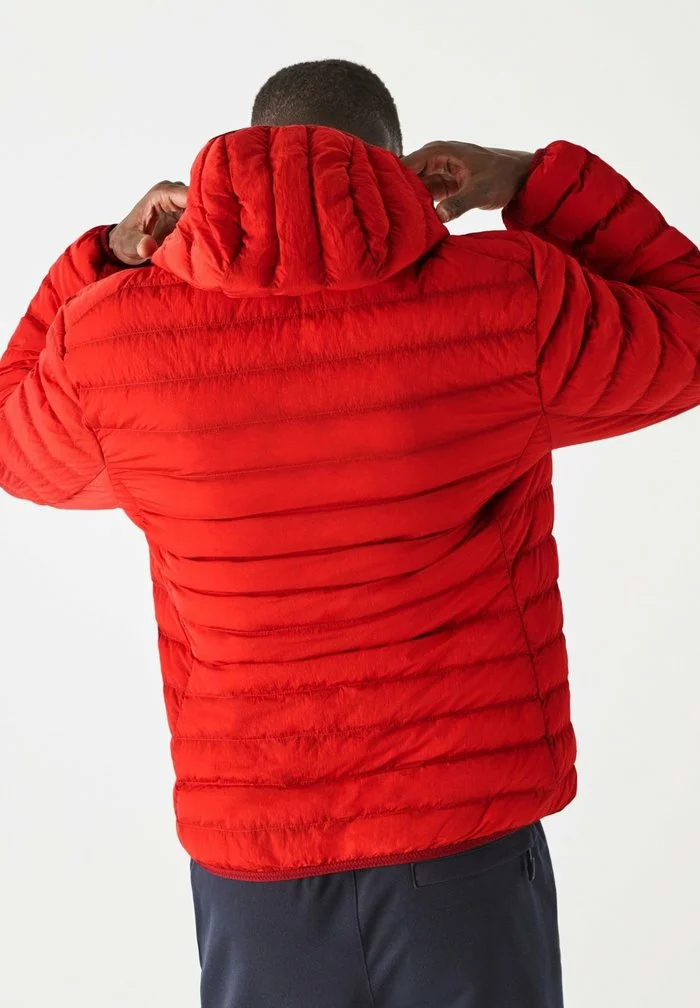 Lacoste Veste D'hiver - Rouge 3 Lacoste Veste D'hiver - Rouge – Image 3
