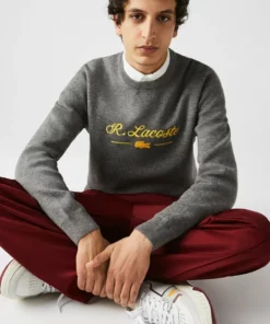 Lacoste PULLY - Pullover - Gris Chine 8 Lacoste PULLY - Pullover - Gris Chine -Lacoste Soldes Magasin 28be1dfb459b43c3b35011ffd6523475