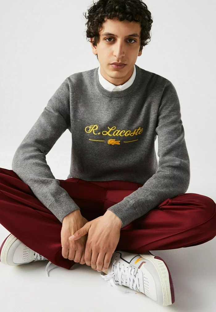 Lacoste PULLY - Pullover - Gris Chine 4 Lacoste PULLY - Pullover - Gris Chine – Image 4