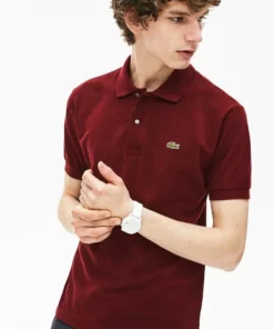 Lacoste Polo - Bordeaux
