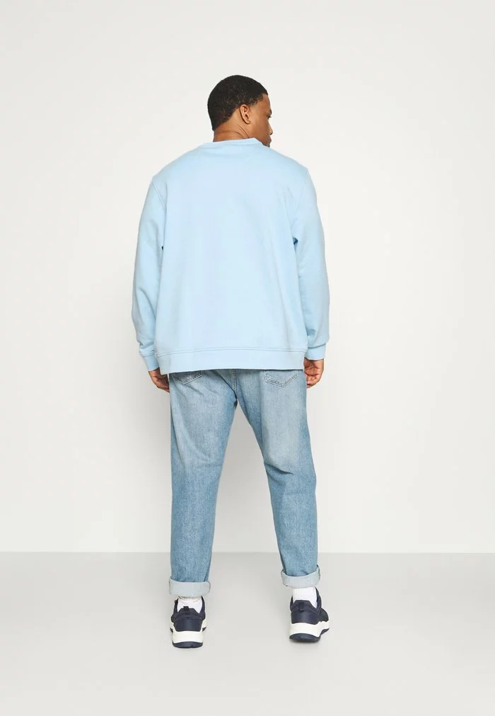 Lacoste Sweatshirt - Overview 3 Lacoste Sweatshirt - Overview – Image 3