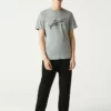 Lacoste T-shirt Imprimé - Gris Chine