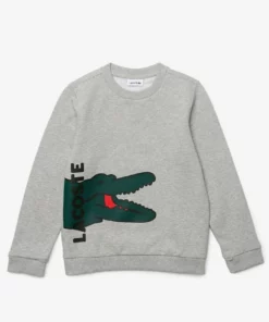 Lacoste LOGO - Sweatshirt - Gris