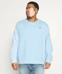 Lacoste Sweatshirt - Overview