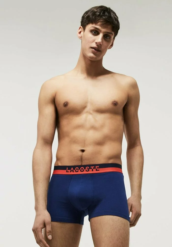 Lacoste 3 PACK - Shorty - Bleu Marine /gris Chine/rouge 1 Lacoste 3 PACK - Shorty - Bleu Marine /gris Chine/rouge