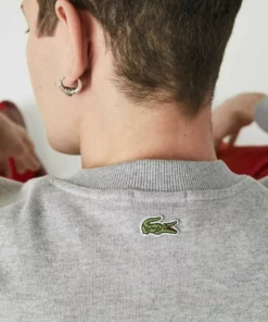 Lacoste Sweatshirt - Gris Chine -Lacoste Soldes Magasin f2c7b0d6680b4b17a664ddabe607533a